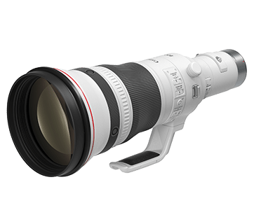 Canon RF800mm f5.6L IS USM
