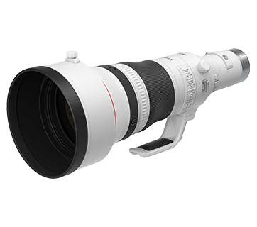 Canon RF800mm f5.6L IS USM