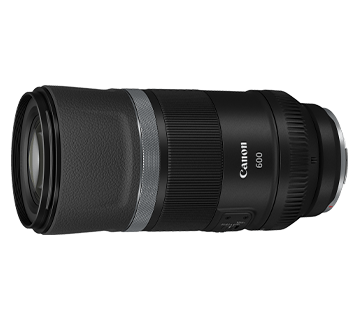 Canon RF600mm f11 IS STM