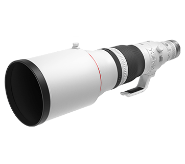 Canon RF600mm f4L IS USM