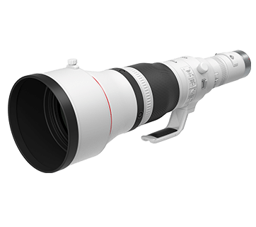 Canon RF1200mm f8L IS USM
