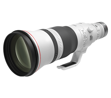 Canon RF600mm f4L IS USM