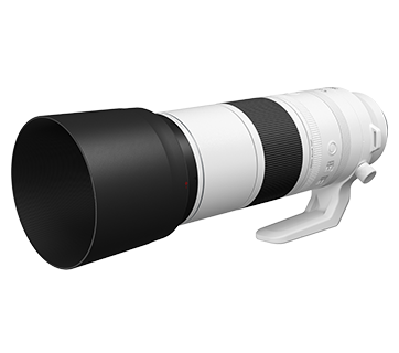 Canon RF200-800mm f6.3-9 IS USM