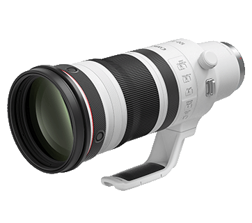 Canon RF100-300mm f2.8L IS USM