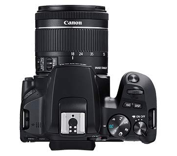 Canon EOS 200D II (EF-S 18-55mm f/4-5.6 IS STM)