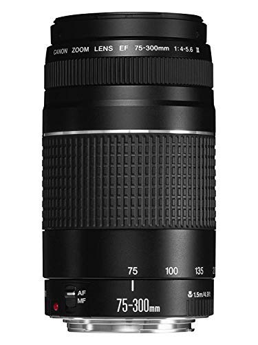 EF75-300mm f4-5.6 III