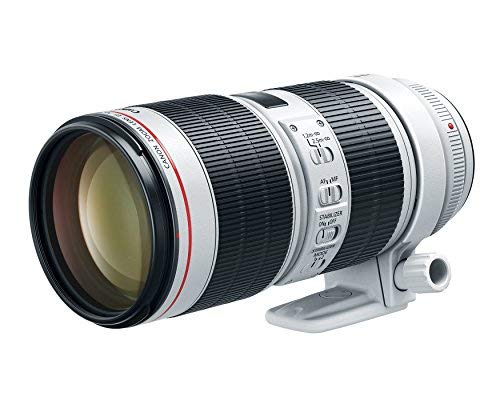 Canon EF 70-200mm f2.8 is III USM with Lens Case and Lens Hood- Black