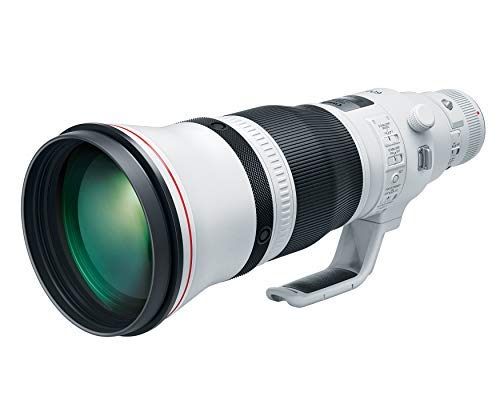 Canon EF 600mm f4L is III USM Lens