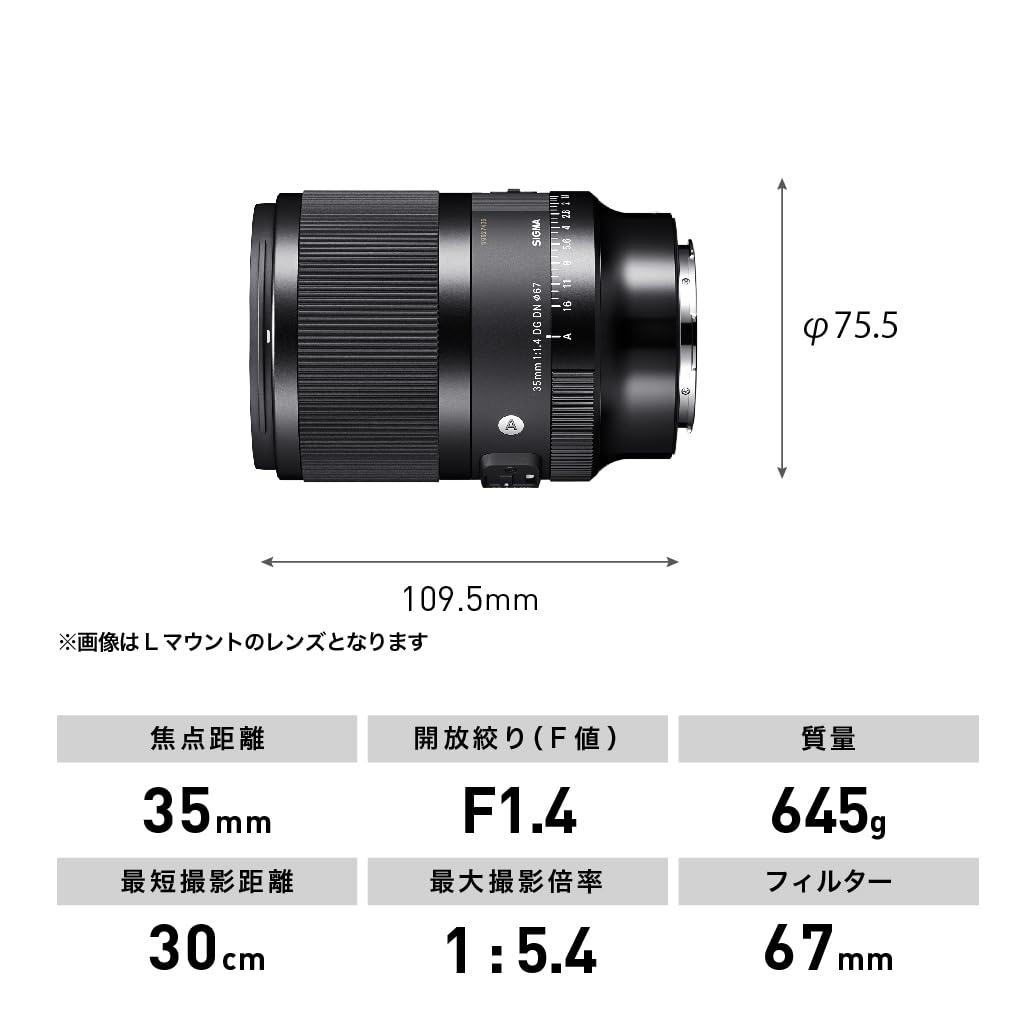 Sigma 35mm f/1.4 DG DN Art Lens for Sony E Mount Mirrorless Cameras (303965) (Black)