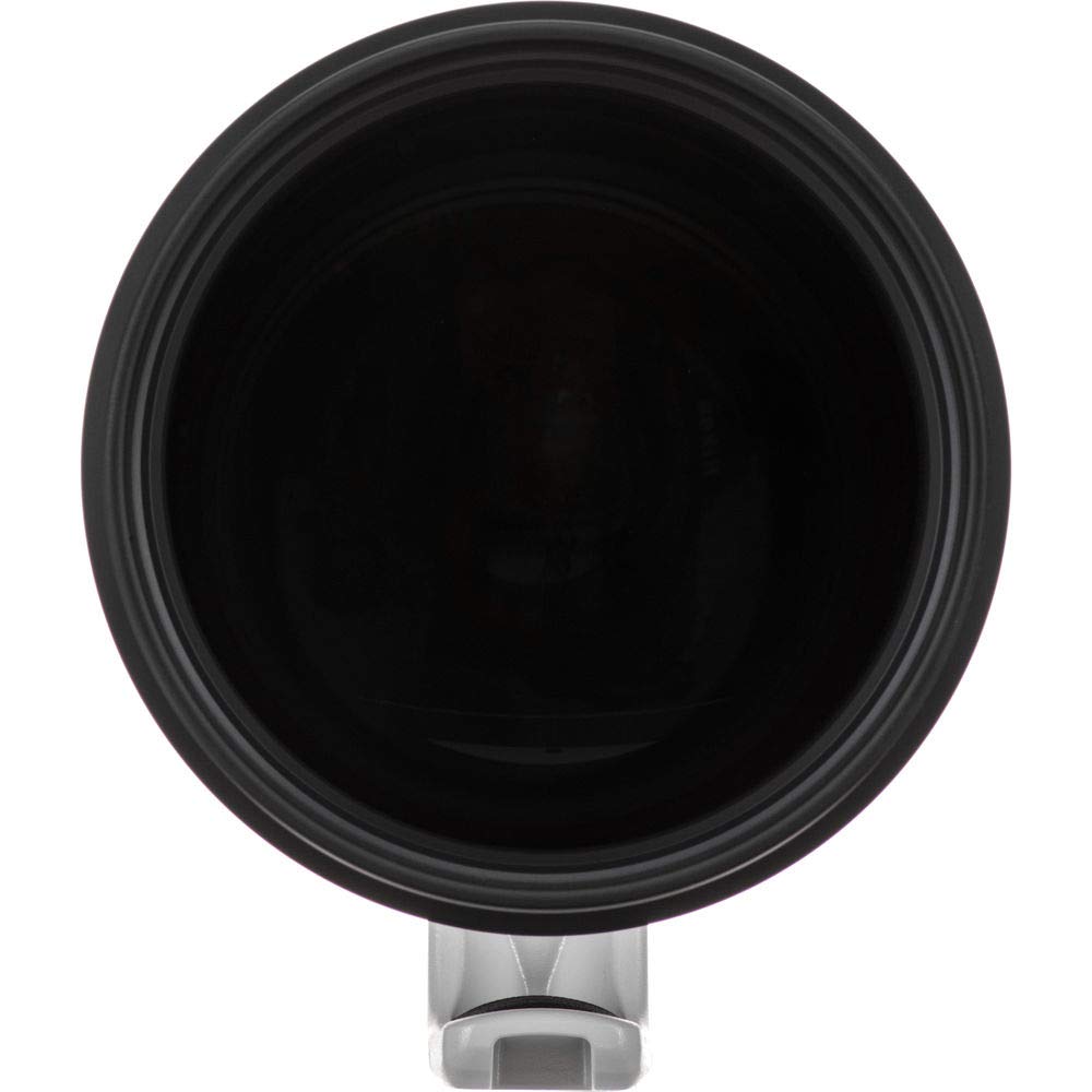 Canon EF 400mm f2.8L is III USM Lens, Black