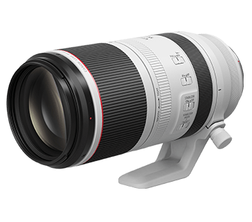 Canon RF100-500mm f4.5-7.1L IS USM