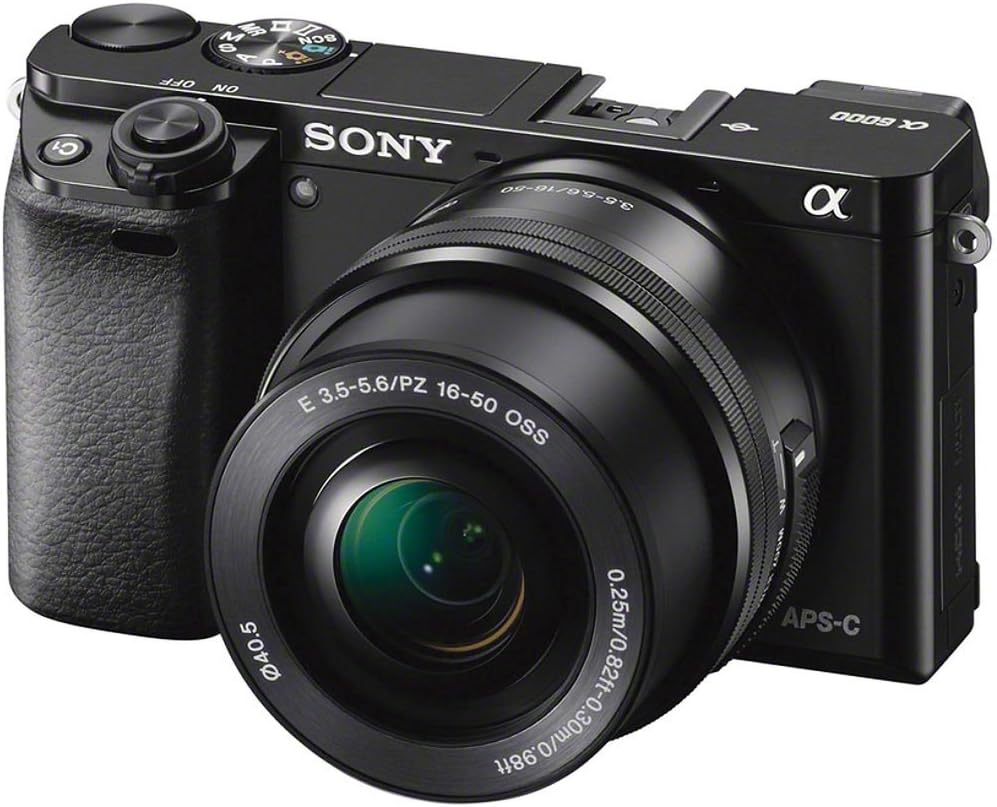Sony Alpha a6000 Mirrorless Digital Camera