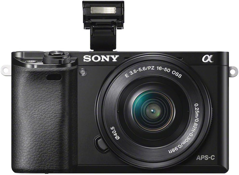 Sony Alpha a6000 Mirrorless Digital Camera