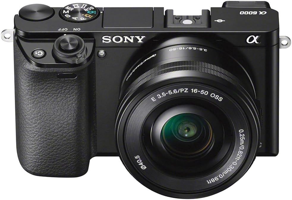 Sony Alpha a6000 Mirrorless Digital Camera
