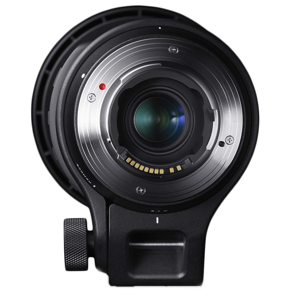 Sigma 150-600 Mm F5-6.3 Dg Os HSM Contemporary Lens for Canon Cameras