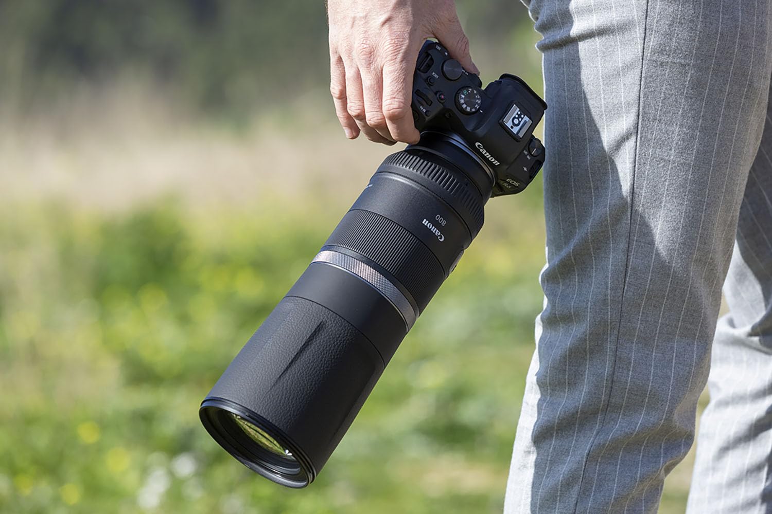 Canon RF 800mm F11 is STM Lens