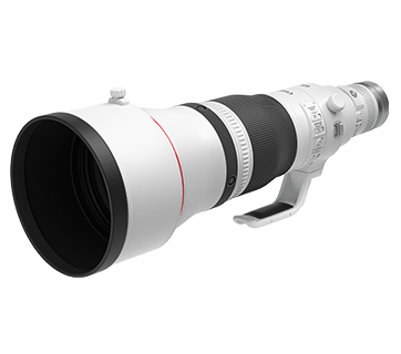 Canon RF600mm f4L IS USM