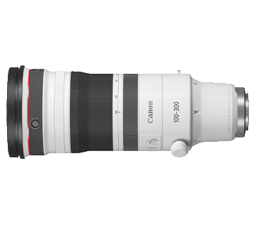 Canon RF100-300mm f2.8L IS USM
