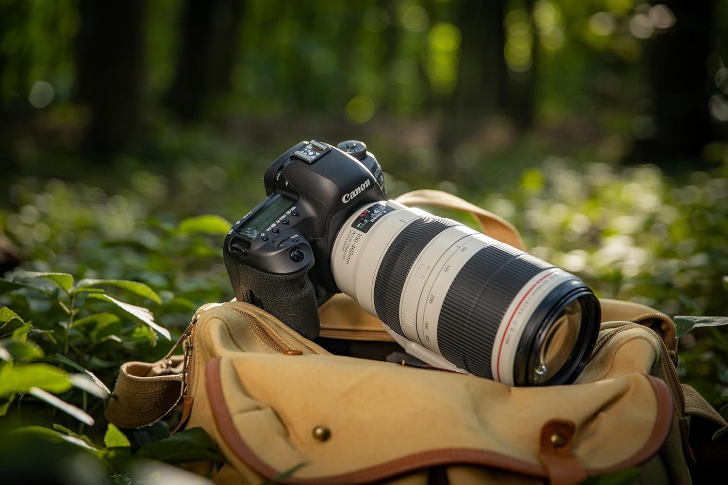 EF100-400mm f4.5-5.6L IS II USM