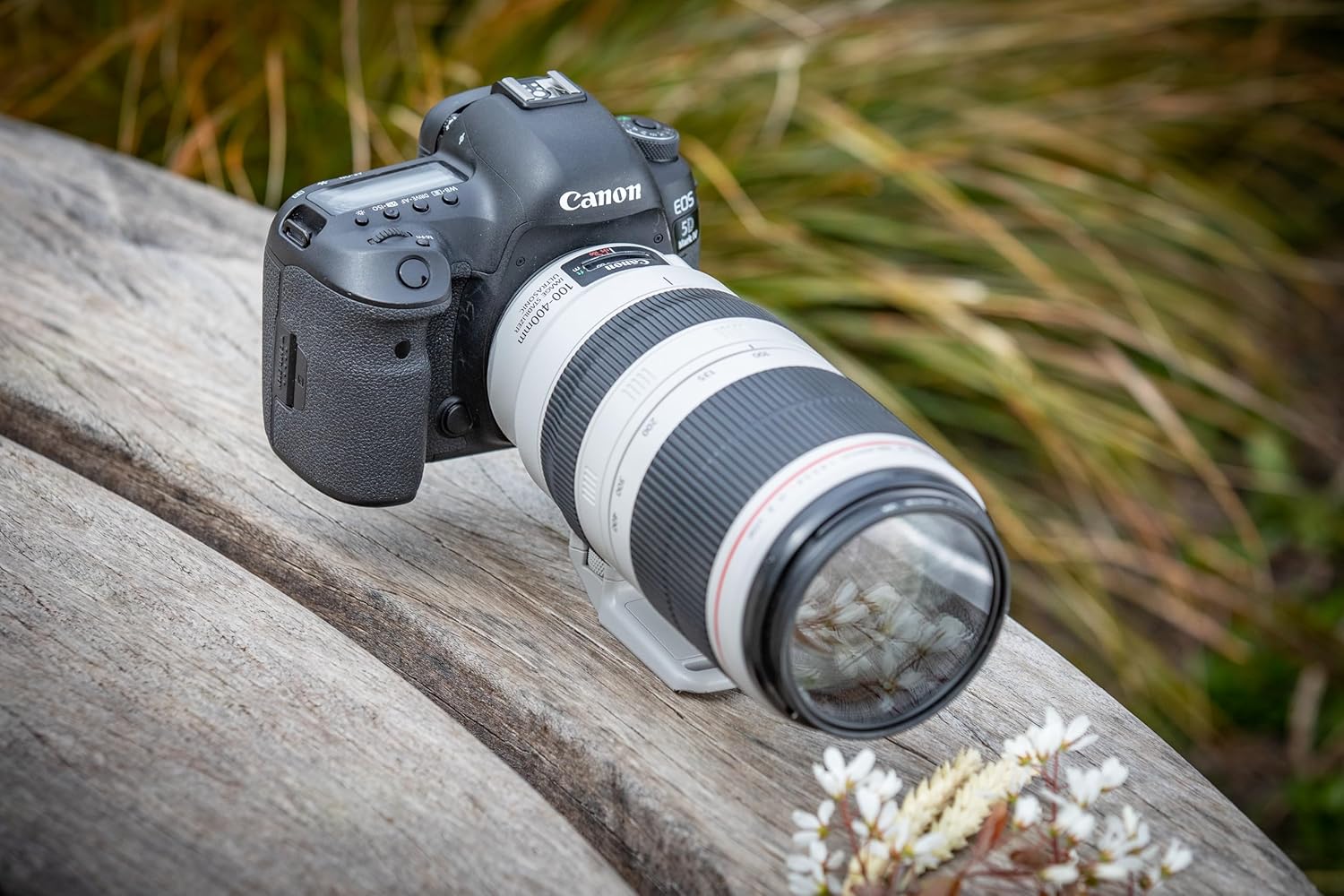 EF100-400mm f4.5-5.6L IS II USM