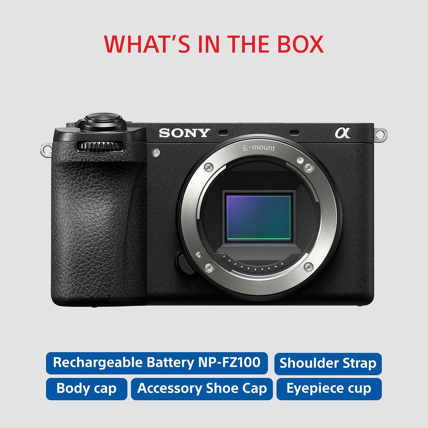 Sony Alpha ILCE-6700 APS-C Interchangeable-Lens Mirrorless Camera (Body Only)