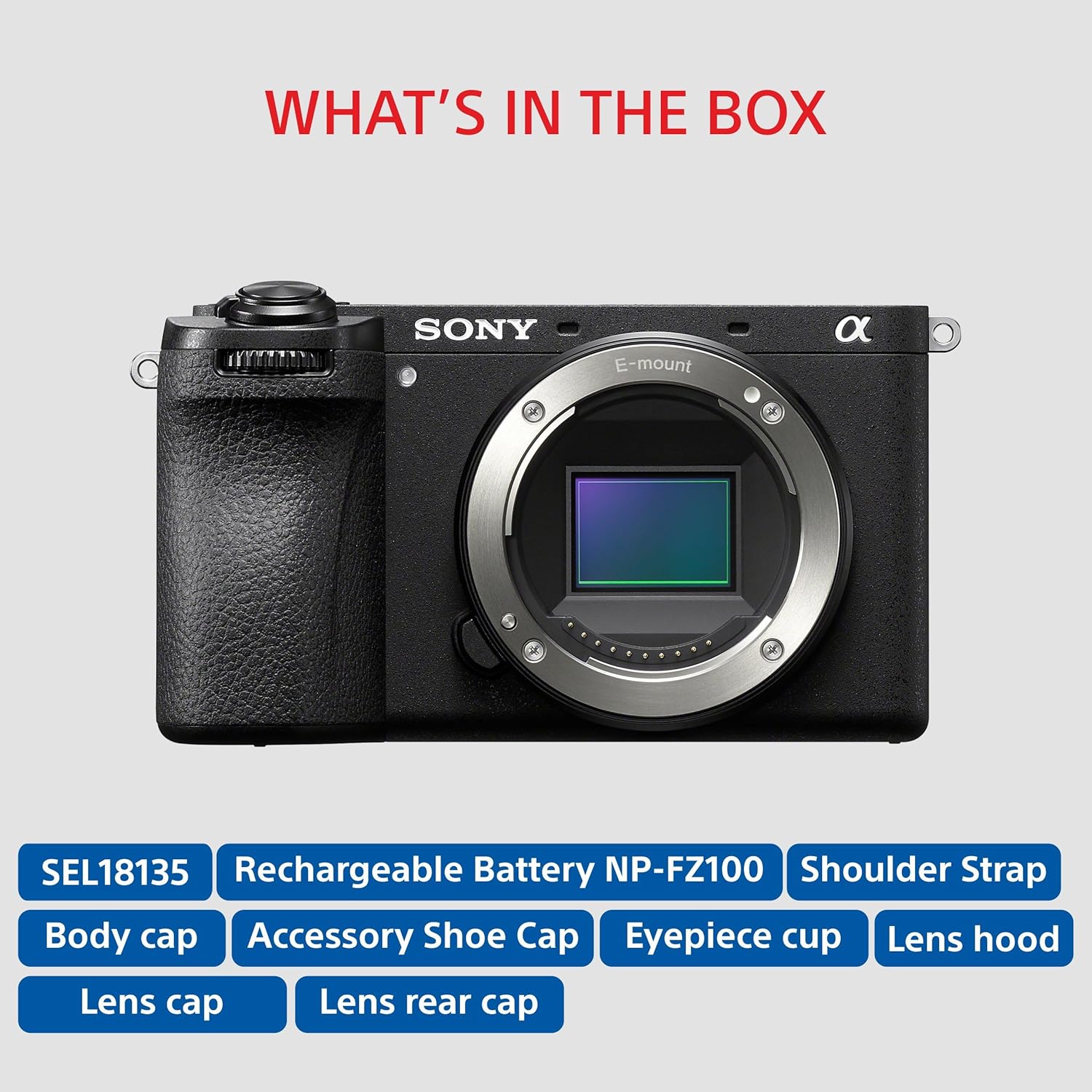 Sony Alpha ILCE-6700M APS-C Interchangeable-Lens Mirrorless Camera (Body + 18-135 mm Power Zoom Lens)