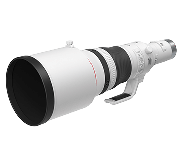 Canon RF800mm f5.6L IS USM