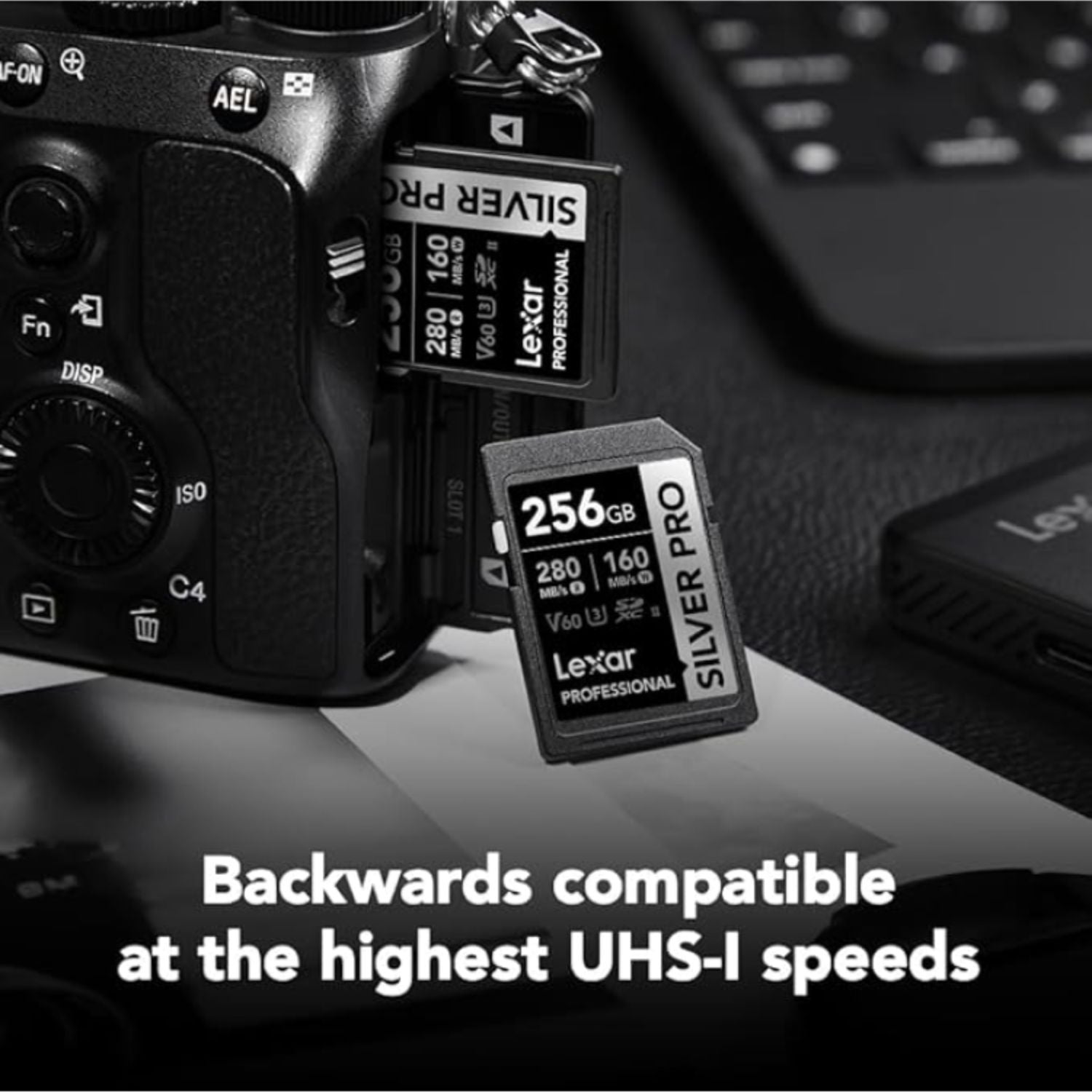 Lexar 256GB SDXC UHS-II v60 Silver Pro Memory Card