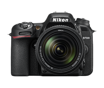 Nikon D7500 DX-Format Digital SLR Body