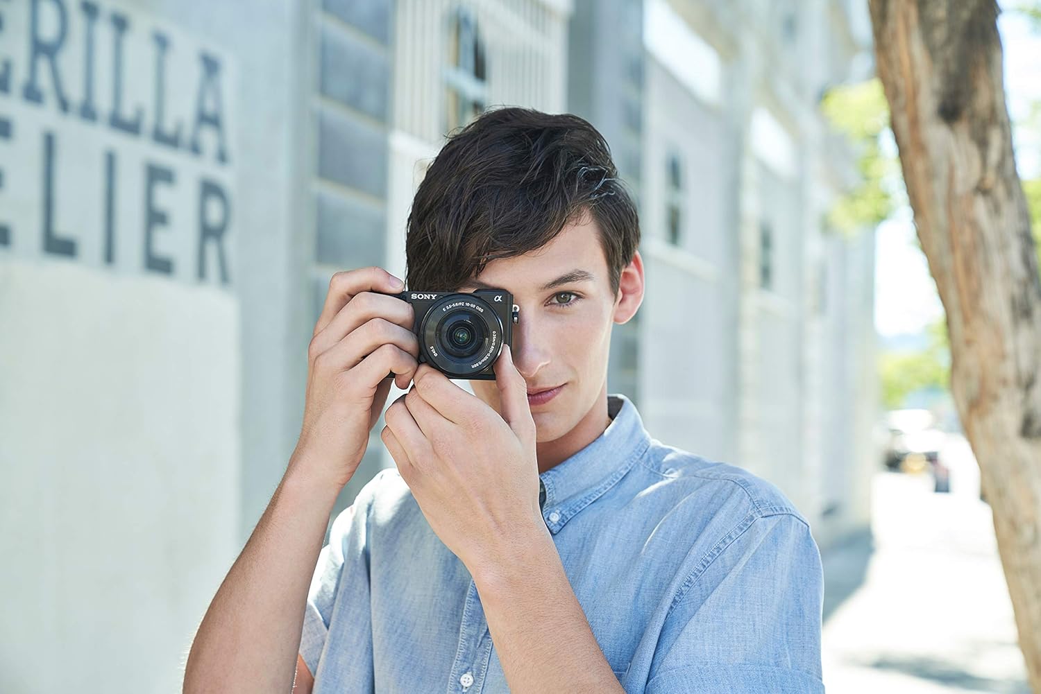 Sony Alpha ILCE-6100Y 24.2 MP Mirrorless Digital SLR Camera with 16-50 mm & 55-210 mm Zoom Lenses