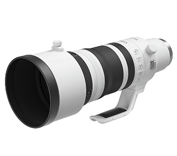 Canon RF100-300mm f2.8L IS USM